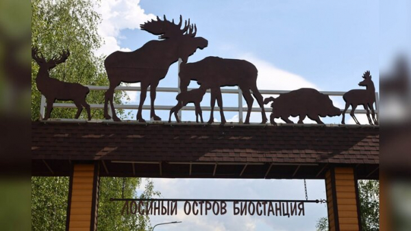 Эксперты высоко оценили программу сохранения нацпарка "Лосиный остров"