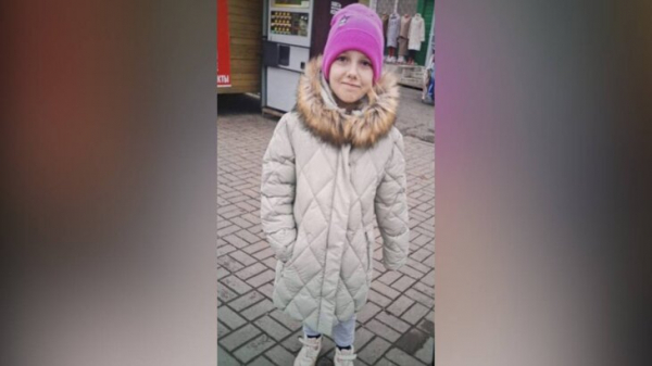 Хинштейн сообщил, что пропавшую в Железногорске 9-летнюю девочку нашли живой Хинштейн сообщил, что пропавшую в Железногорске 9-летнюю девочку нашли живой