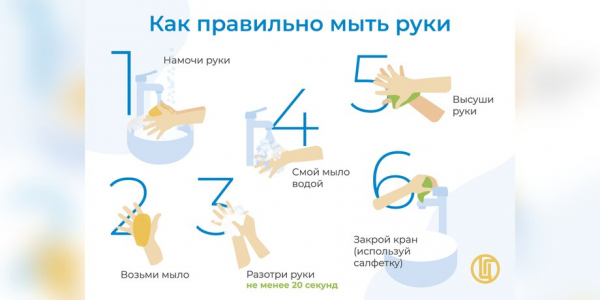 Москвичи могут узнать информацию и полезные советы о ЗОЖ на площадке "Санпросвет"
