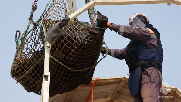 Свыше 9,5 тыс снарядов времен ВОВ поднято со дна Балтийского моря