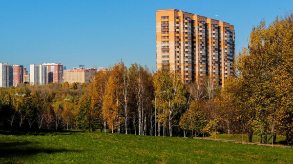 Начало сентября в Москве ожидается по-летнему теплым